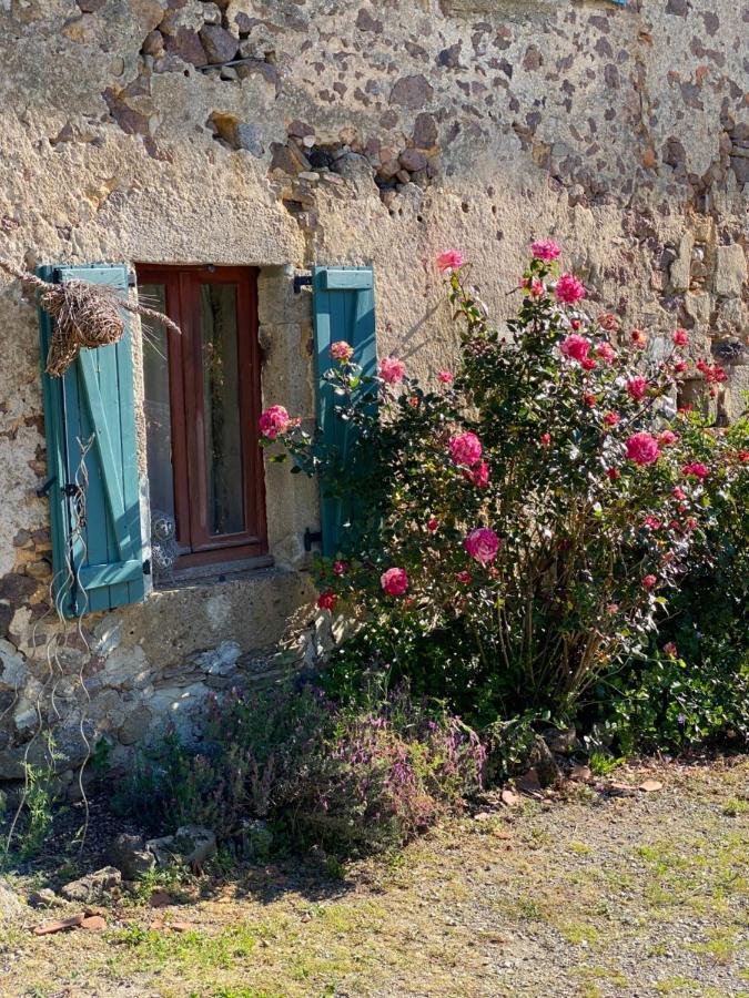 Bachellerie Bed & Breakfast Cheronnac Exterior photo